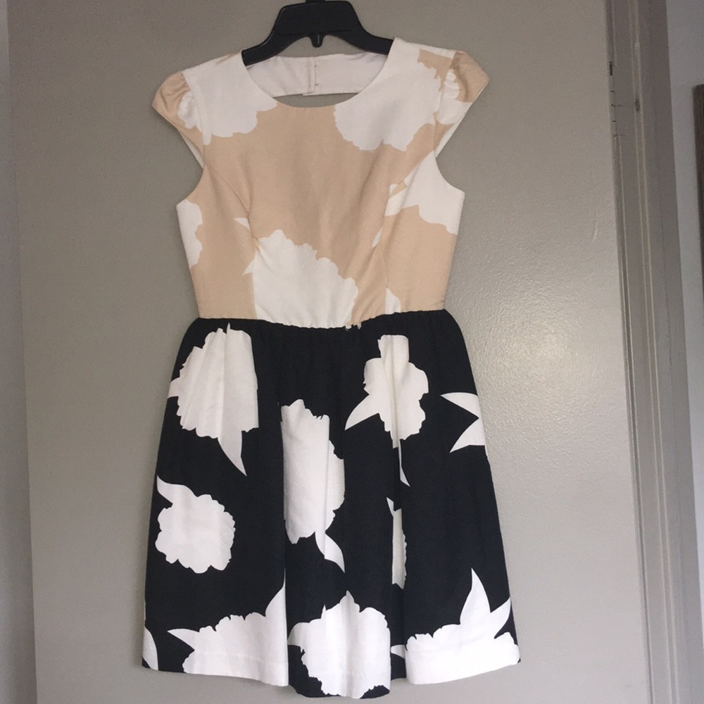 Troubadour dress